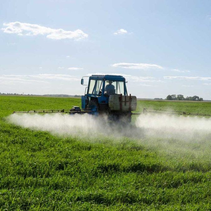 Tractor spray fertilize green field with pesticide insecticide herbicide chemicals in agriculture field in evening sunlight. Farmer care plants.